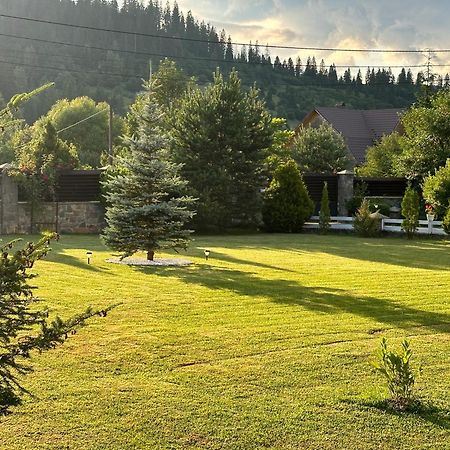 Краєвид سلافسكي المظهر الخارجي الصورة