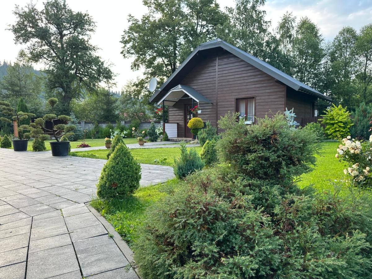 Краєвид سلافسكي المظهر الخارجي الصورة